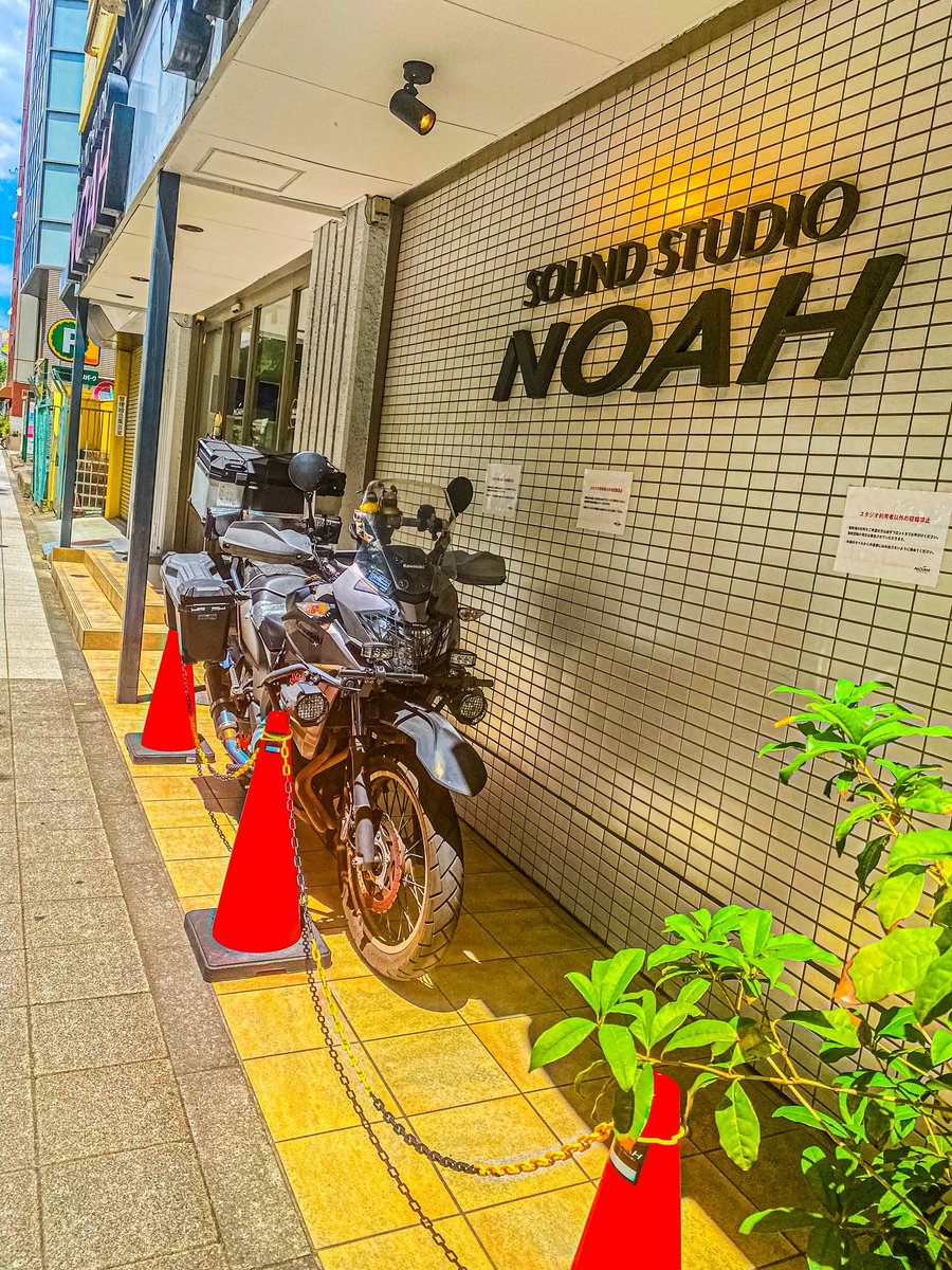 くまこページ すみっコぐらしのおやすみライトミニ (しろくま) | ハシートップ