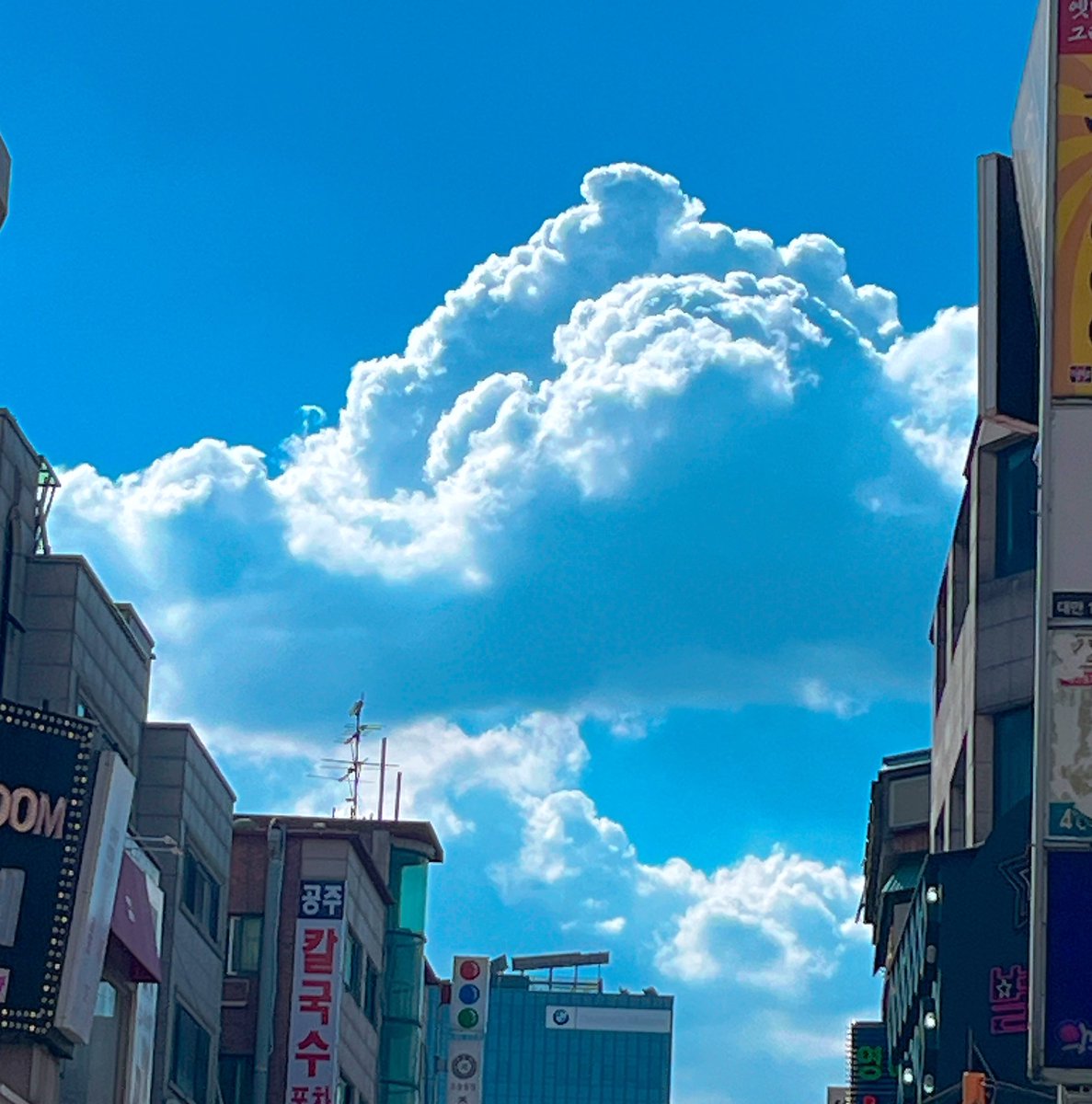 hachi_sadam's tweet image. 아이고 덥다더워