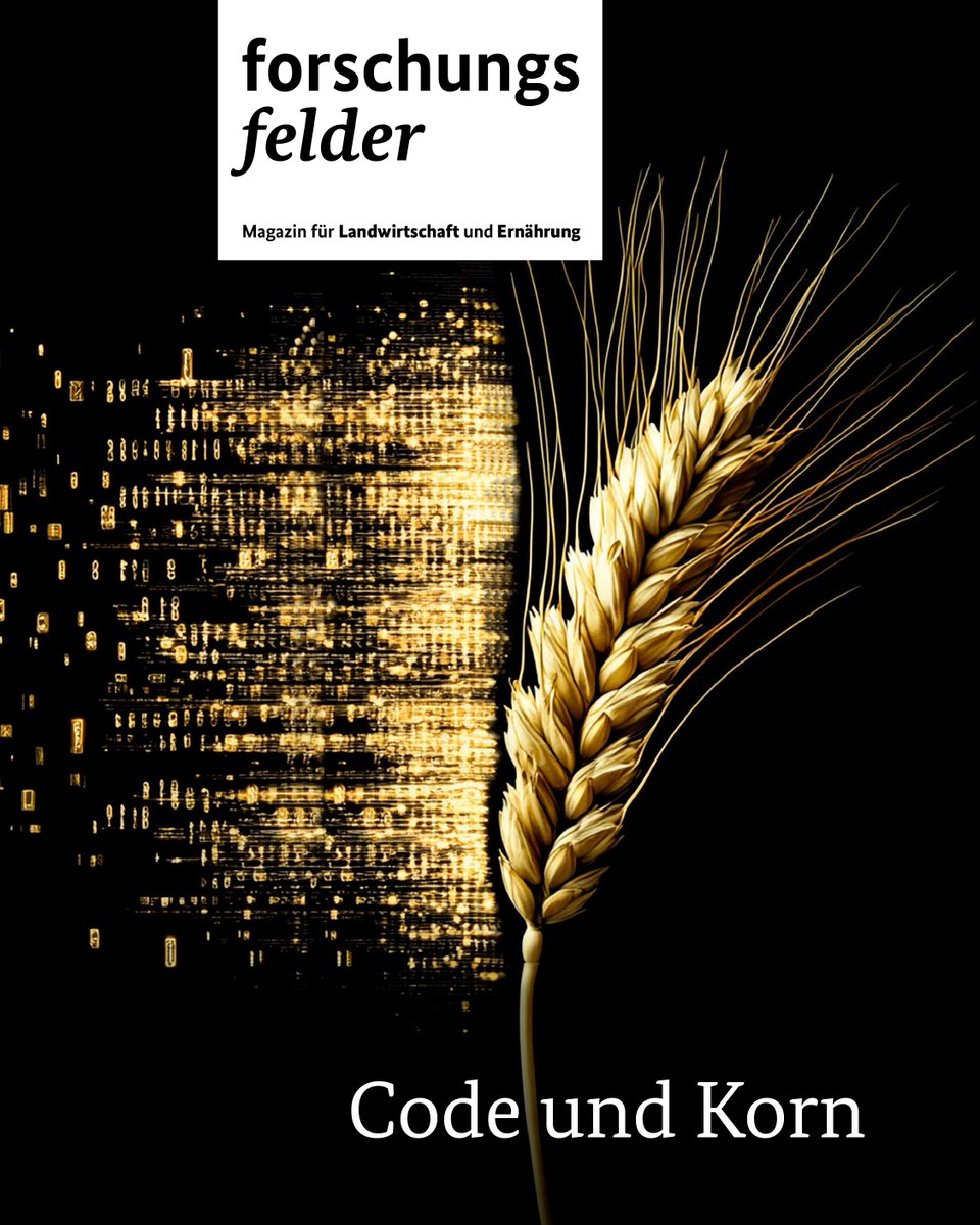 BMLEH_Bund's tweet image. 🆕 Neue Ausgabe unseres Forschungsmagazins »forschungsfelder«
Thema: künstliche Intelligenz #KI
➡️ wie digitale Technologien die Landwirtschaft unterstützen
➡️ gezielte Unkrauterkennung mit KI
➡️ intelligente Systeme fürs Tierwohl im Stall
👉️ bmleh.de/goto?id=122800