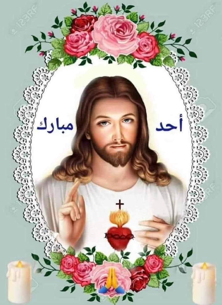 GeorgetteSarkis's tweet image. يأتي الصباح في كل يوم ليخبرنا أن في العمر متسع للحياة، للأمل، للحب، للبهجة، لتصحيح أخطائنا، للتسامح، للسعادة، للشكر والرضى، للتقرب من الرب. فلنشكر الرب على النهار الجديد الذي صنعه من أجلنا.
#احد_مبارك 
#صباح_الخير