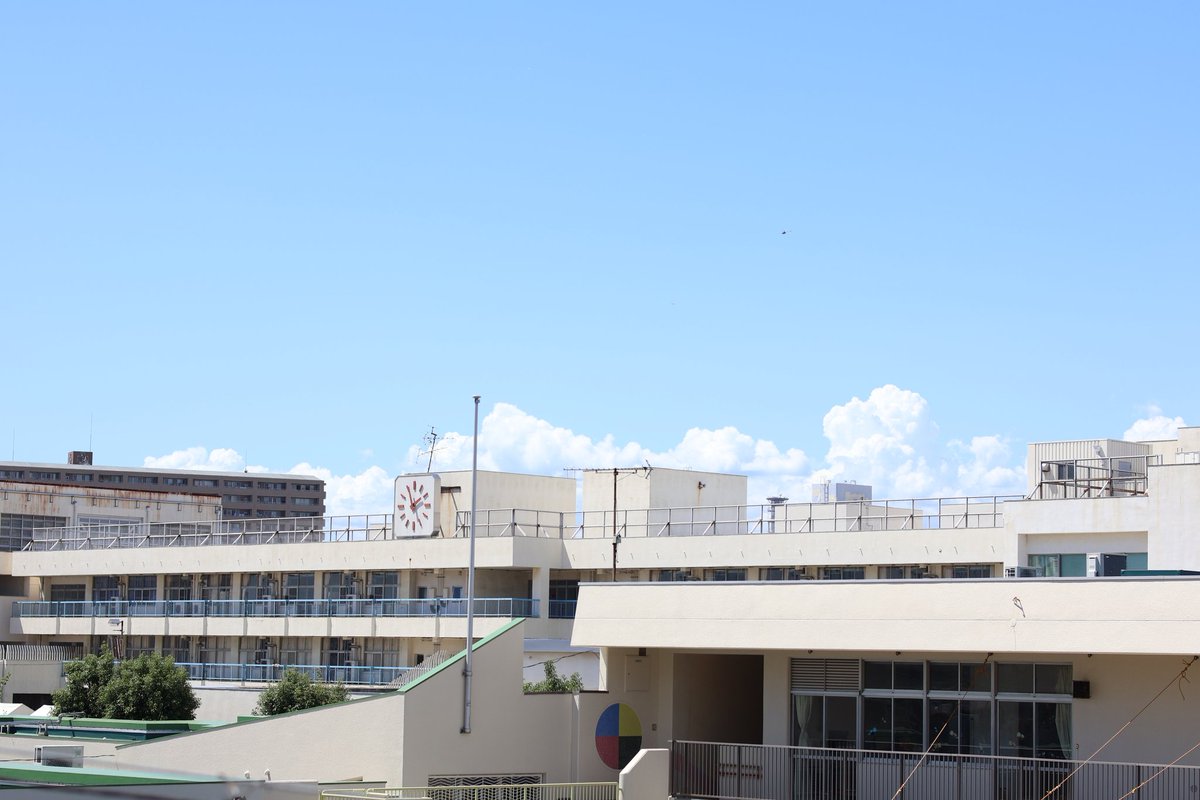 ao_eosr10's tweet image. 昨日の蒼さんぽ📸