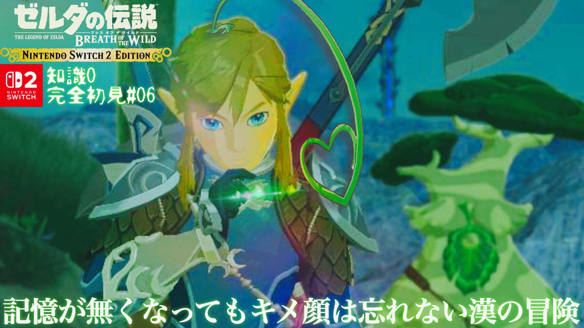 宮*様 ゼルダの伝説　※2本セット※ ゼルダの伝説 2本セット