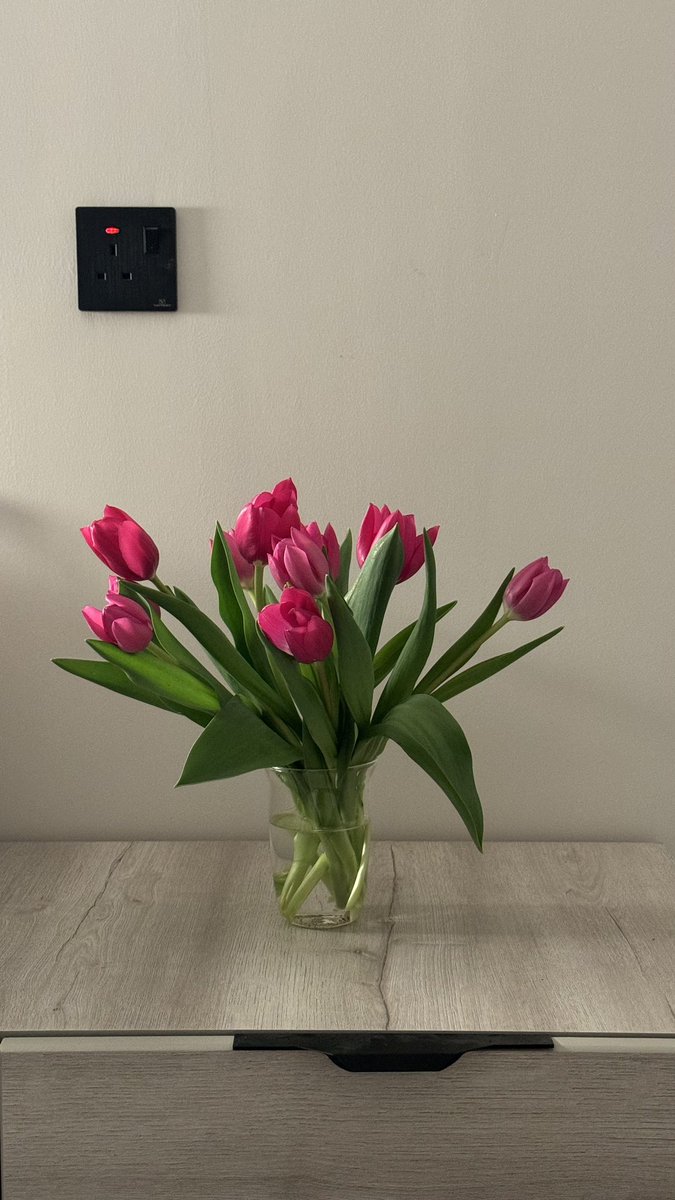 🌷🌱💗