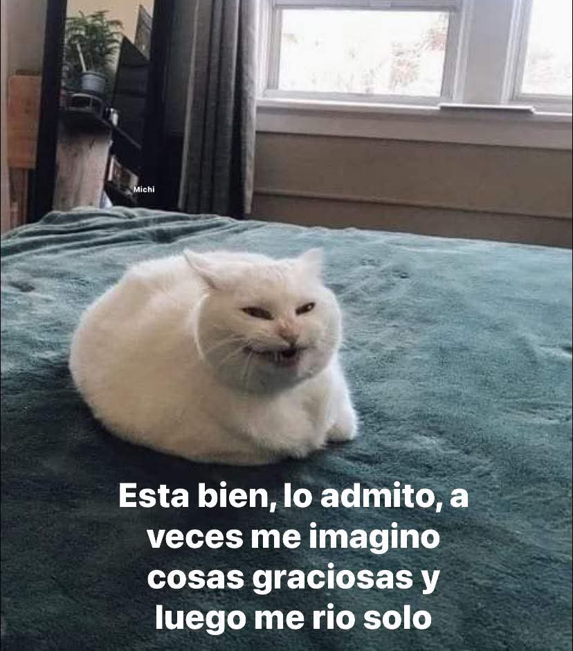 En Júpiter (@en_jupiter_) on Twitter photo 
