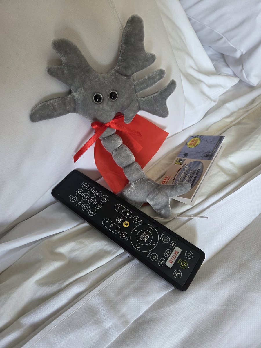 TravelingMocha's tweet photo. Um, we left our super brain cell watching TV all day while we spent Saturday at Comic-Con. That won't lead to anything bad, right?
#MonkeyBusiness #SDCC #ComicCon #SanDiego #MonkeyCon #July26 #TelevisionRotsYourBrain https://t.co/PNmGbNVHZs