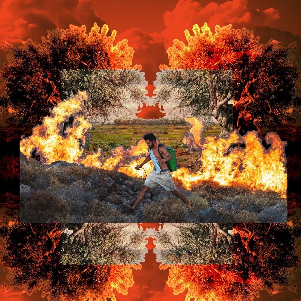 Yeni yasa düzenlemesini uzmanlara, kolektiflere, derneklere soruyor, tarım alanlarının hedefte olmasının ekolojik ve toplumsal boyutlarını araştırmaya koyuluyoruz.

Toprak yaşam, maden zehir 👉buff.ly/JW4PDBa

Hazırlayan: Ekin Sanaç, İlayda Güler