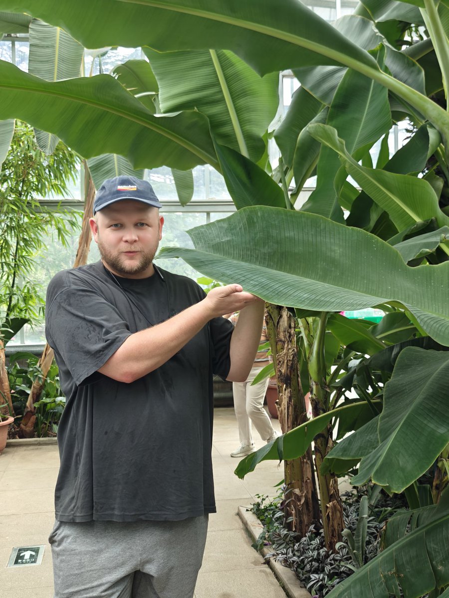 CurtExplores's tweet image. big man &amp;amp; big leaf