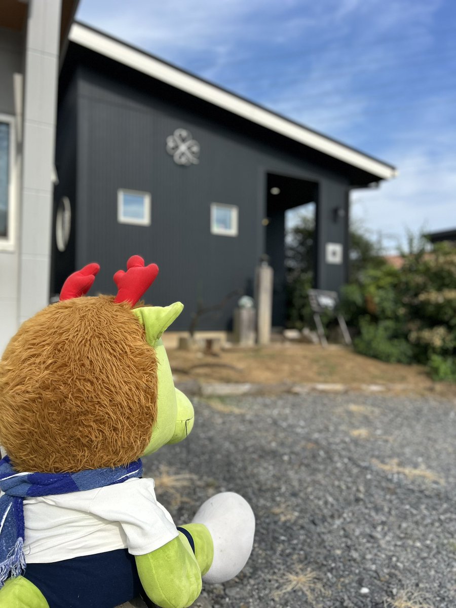 masao_curryrice's tweet photo. あまいものをたべたくなったよ🐸
#cafecocca #水戸市 https://t.co/m1SzfA5jNJ