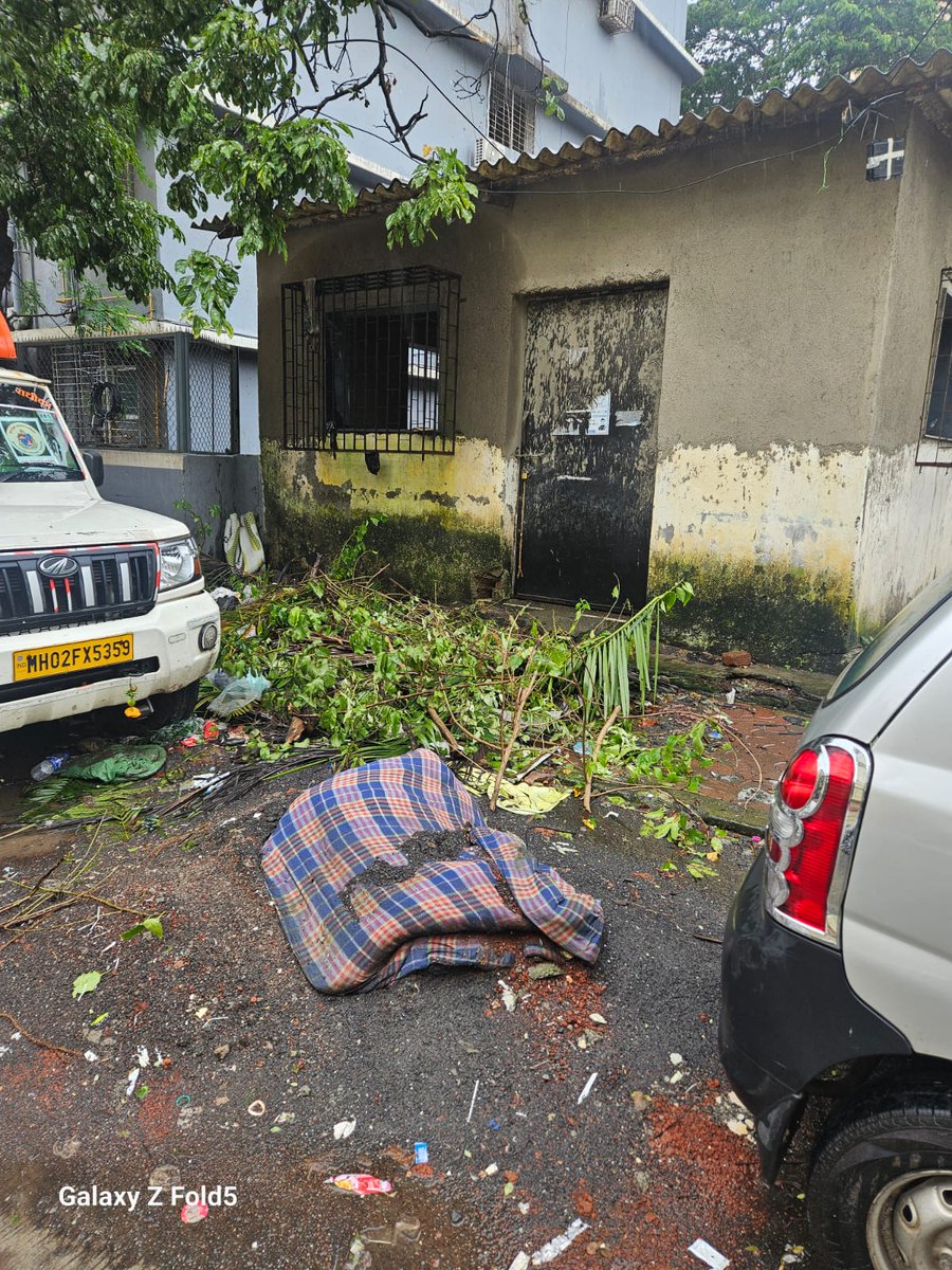 VOK (@tms190) on Twitter photo Tree cutting,Debris on Footpath outside BMC community centre,next to Pride of Kalina, Sunder Nagar Kalina Santacruz East. Kindly get this cleared on warfooting.<a href="/mybmcWardHE/">Ward HE BMC</a> <a href="/mybmcSWM/">BMC SWM</a> <a href="/VarshaEGaikwad/">Prof. Varsha Eknath Gaikwad</a> <a href="/profEniddias/">Enid Dias</a> <a href="/Ashcorruption/">Ashcorruption</a> <a href="/kiranmartis9/">Kiran Martis</a> <a href="/joytrichur/">Joy Trichur</a> Tree cutting,Debris on Footpath outside BMC community centre,next to Pride of Kalina, Sunder Nagar Kalina Santacruz East. Kindly get this cleared on warfooting.<a href="/mybmcWardHE/">Ward HE BMC</a> <a href="/mybmcSWM/">BMC SWM</a> <a href="/VarshaEGaikwad/">Prof. Varsha Eknath Gaikwad</a> <a href="/profEniddias/">Enid Dias</a> <a href="/Ashcorruption/">Ashcorruption</a> <a href="/kiranmartis9/">Kiran Martis</a> <a href="/joytrichur/">Joy Trichur</a>