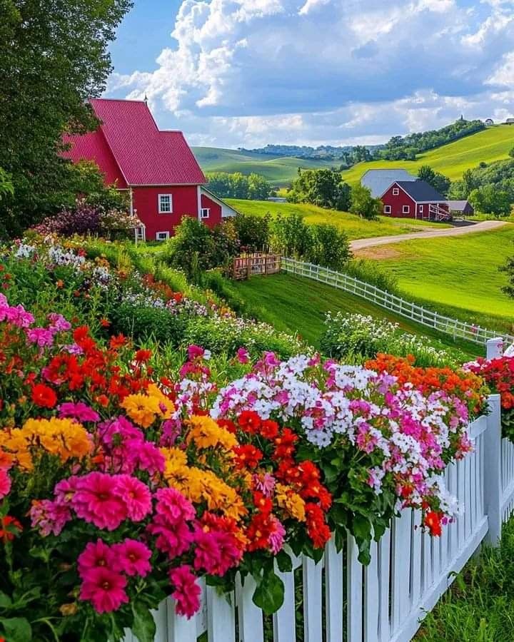 DrRani778897's tweet image. 