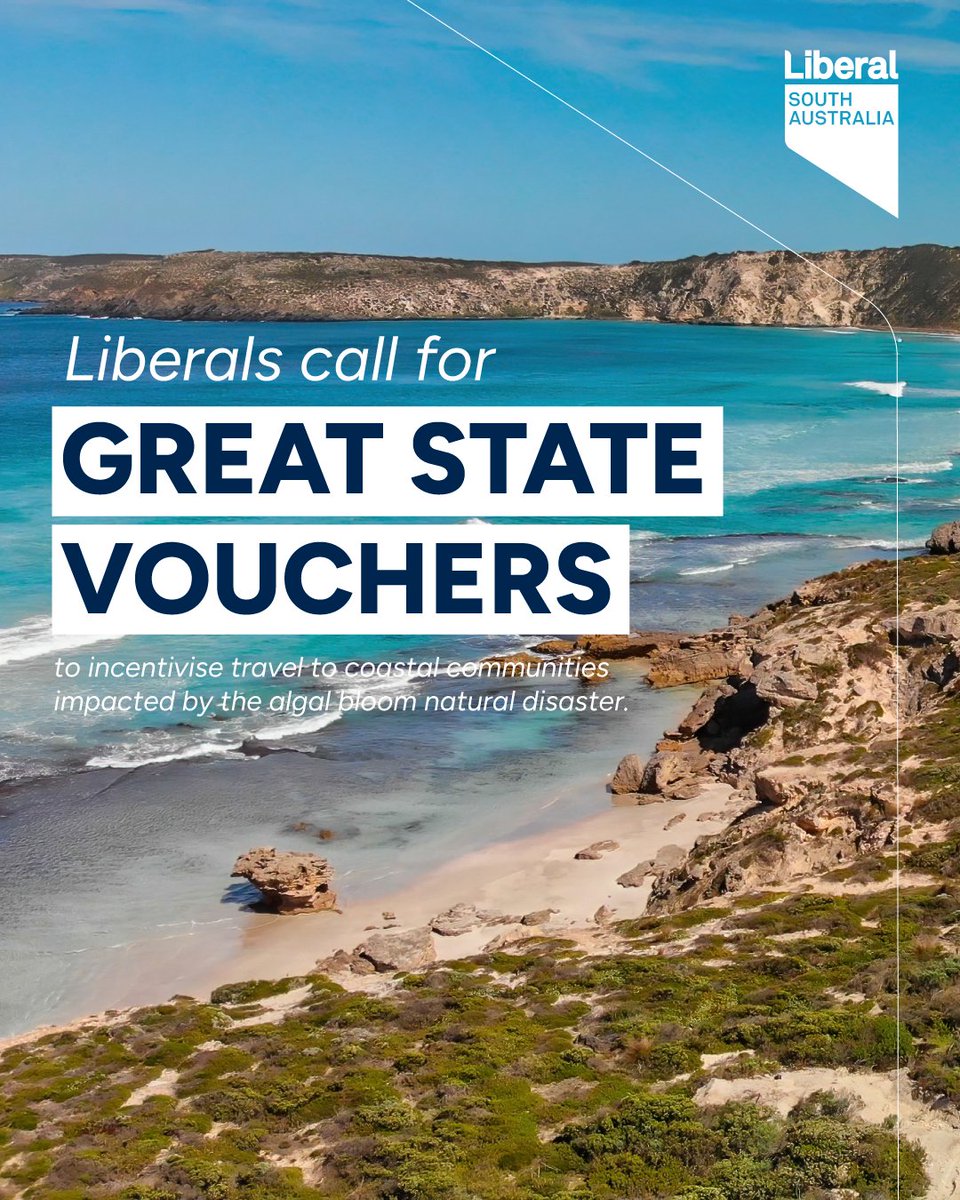 Our coastal communities and businesses are being decimated by the algal bloom.

We need to do everything we can to support those affected, that’s why we are calling for a revival of the Great State Vouchers to incentivise travel to areas impacted by this natural disaster.