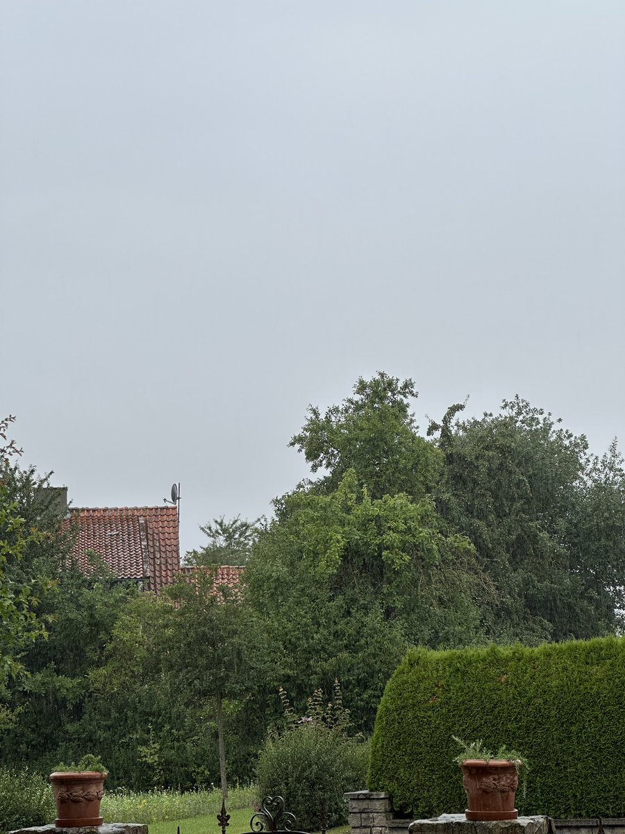 hedyundolaf's tweet image. Pohle meldet 18° 🌧️🌧️🌧️🌧️🌧️🌧️🌧️
Machen wir es uns gemütlich 🛋️☺️
