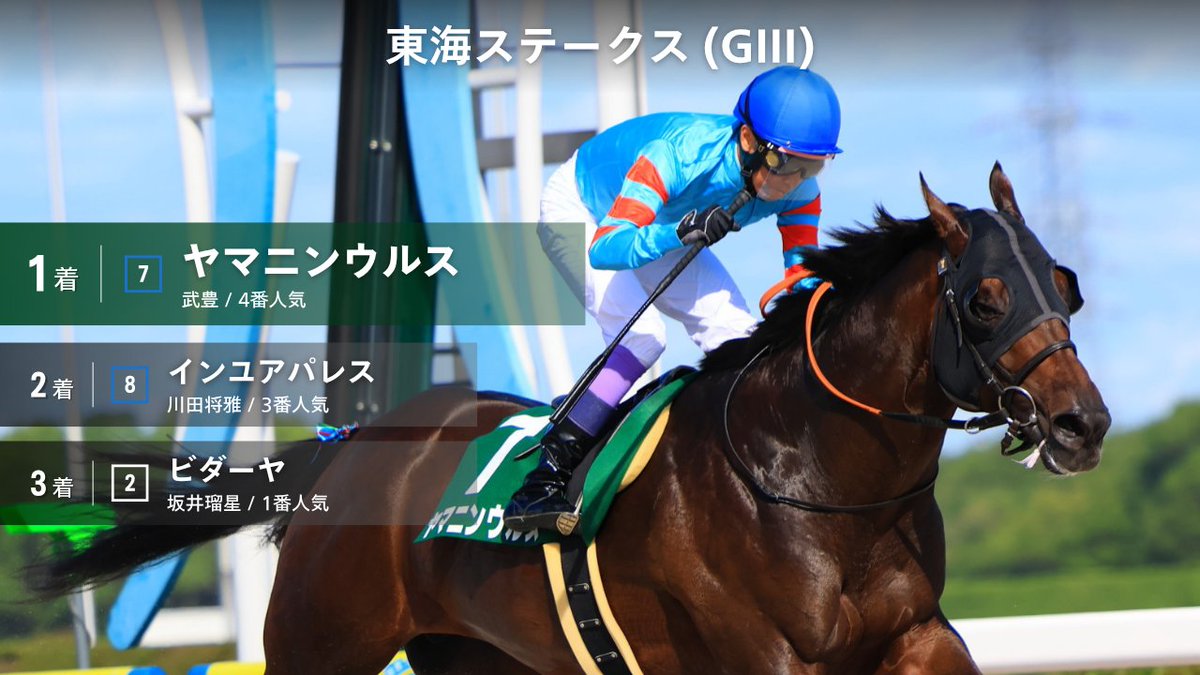 競馬写真⭐ヤマニンパラダイス（馬券） 競馬写真⭐ヤマニンパラダイス（馬券）
