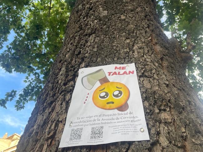 Condenados a ser talados

Hasta 19 árboles de la Avenida de Cervantes están condenados a ser talados en la reforma proyectada por el Ayuntamiento de Granada, contra el criterio del vecindario y del sentido común
👇👇👇
elindependientedegranada.es/ciudadania/con…