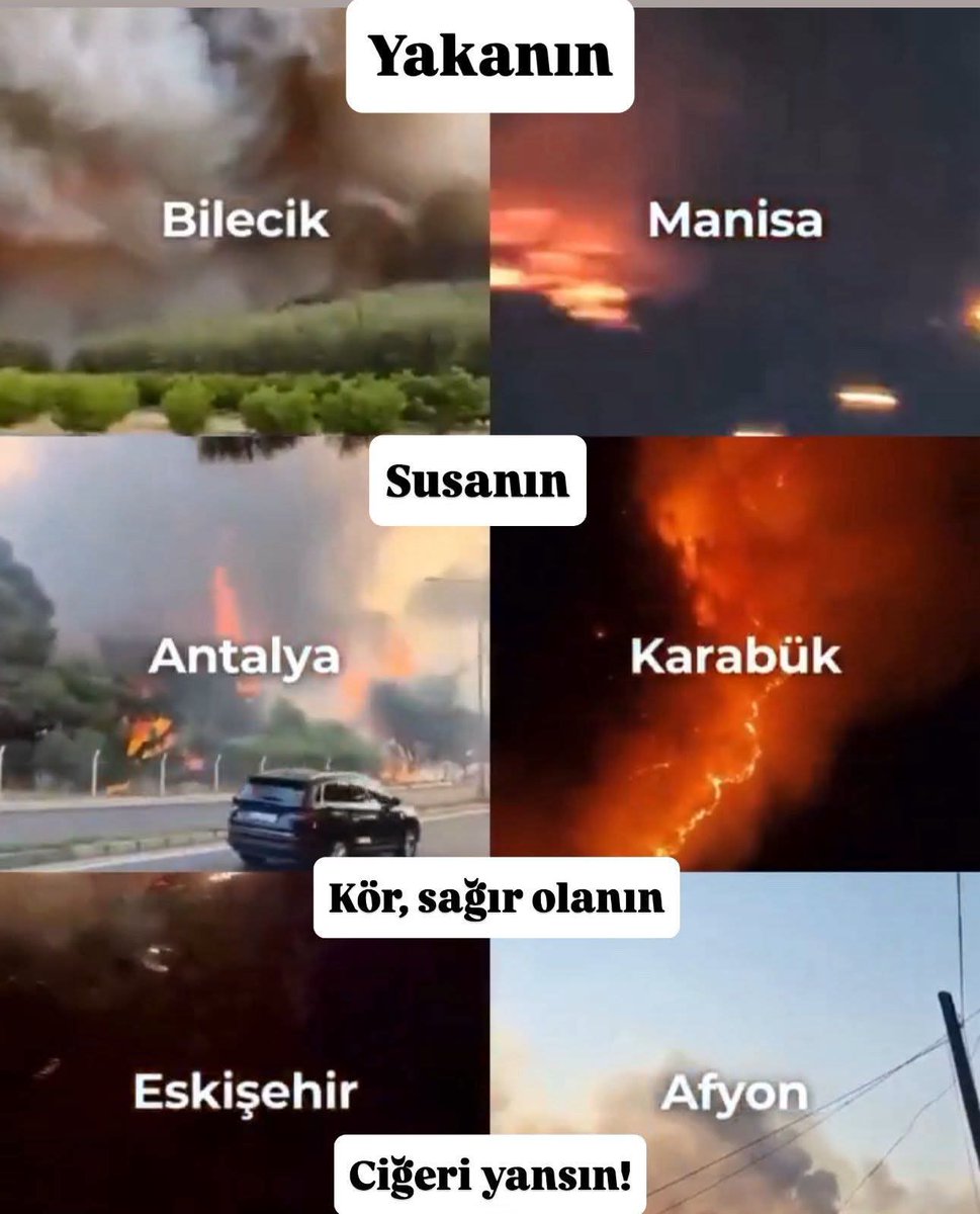 Sfran_34's tweet image. Allah’ım, ormanları alevden, toprağı kuraklıktan, bizi ise çaresizlikten koru. Rahmetinle söndür, rahmetinle yeşert.
#Amin