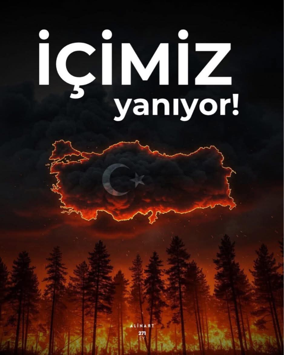 Sfran_34's tweet image. Allah’ım, ormanları alevden, toprağı kuraklıktan, bizi ise çaresizlikten koru. Rahmetinle söndür, rahmetinle yeşert.
#Amin