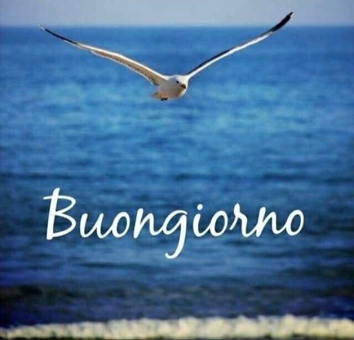 Giadaa2016's tweet image. A volte non ci serve una nuova strada, ci serve solo il coraggio di lasciare quella sbagliata...
#BuonaDomenica a tutti