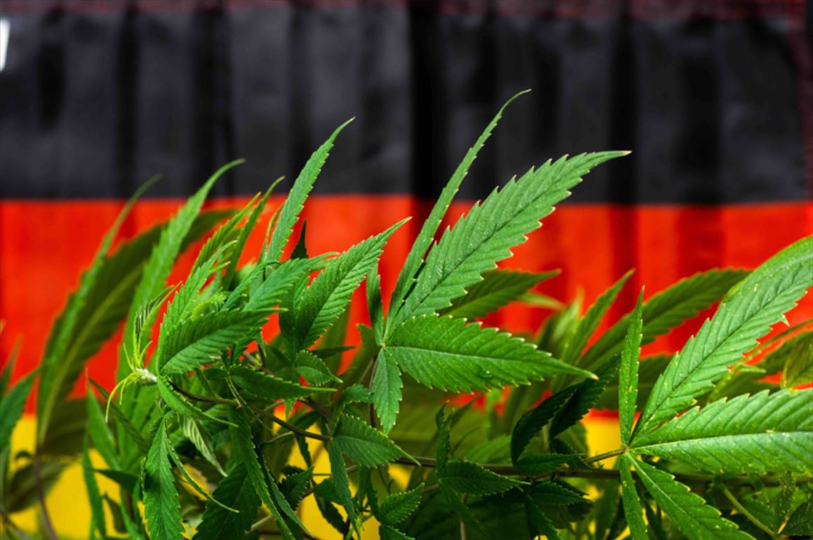 szkrcom's tweet image. Hamar rájöttek a 🇩🇪 németek, hogy nem volt jó ötlet bedobni a lovak közé a gyeplőt. A drogproblémát természetesen nem sikerült megszüntetni a drogliberalizációval, viszont a rendőrök sokkal nehezebben tudnak ellene fellépni azóta.🤦‍♂️

Bővebben 👇
szentkoronaradio.com/blog/2025/07/2…
