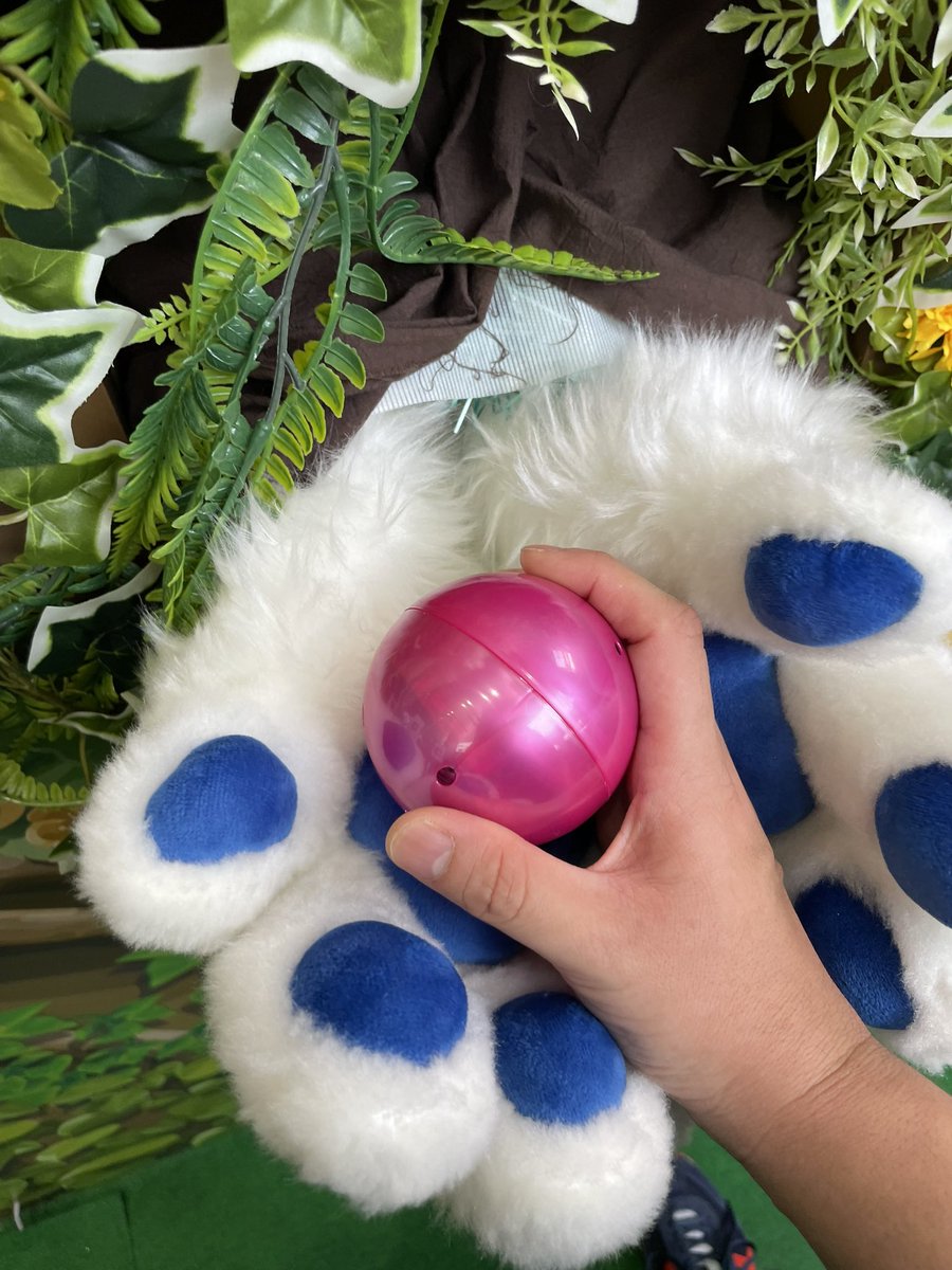 chevron_shark's tweet image. ノクスくんからモフモフ手渡し🥰
可愛かった〜🥰
