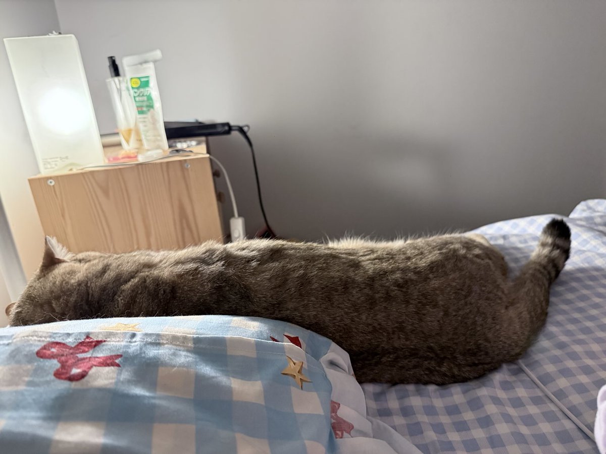 你们枕头旁边也有这玩意儿吗