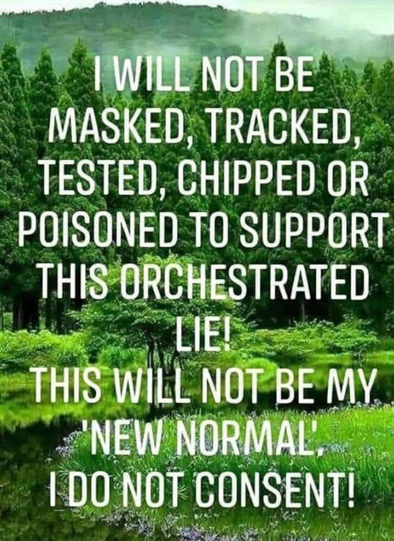 Nisha Koiri - Naturopath (@nishakoiri) on Twitter photo Remember how much we all had to resist for our very very basic Right to Life !..Never again .. India has already signed the pandemic treaty.. Time for us to awaken the masses all over again.. đź’Ş
<a href="/awakenindiamvmt/">Awaken India Movement</a> health.economictimes.indiatimes.com/news/policy/in… Remember how much we all had to resist for our very very basic Right to Life !..Never again .. India has already signed the pandemic treaty.. Time for us to awaken the masses all over again.. 💪
<a href="/awakenindiamvmt/">Awaken India Movement</a> health.economictimes.indiatimes.com/news/policy/in…