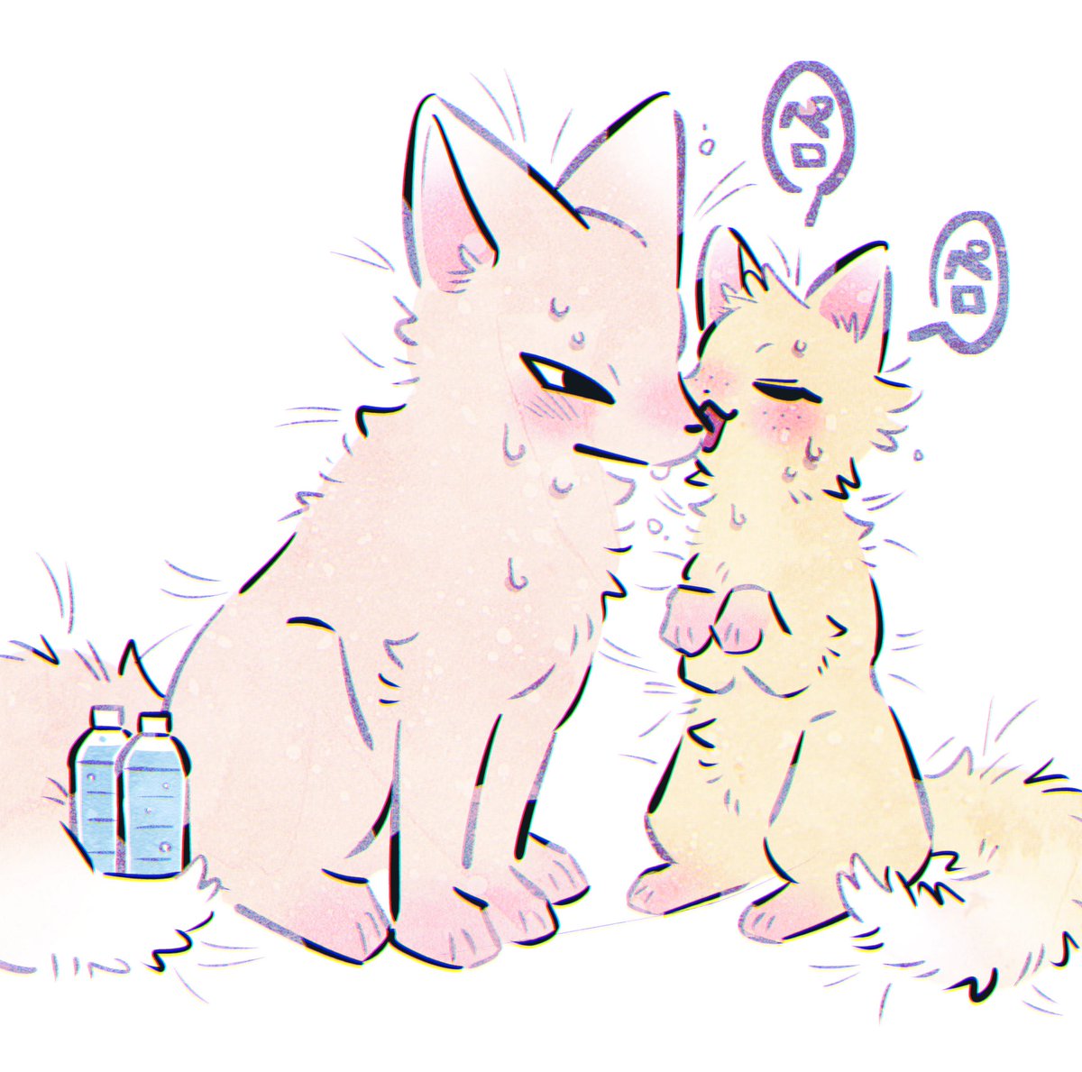 chiba_nngn's tweet image. 🦊→🐱お水とってあげるね
🐱→🦊汗を拭いてあげるね