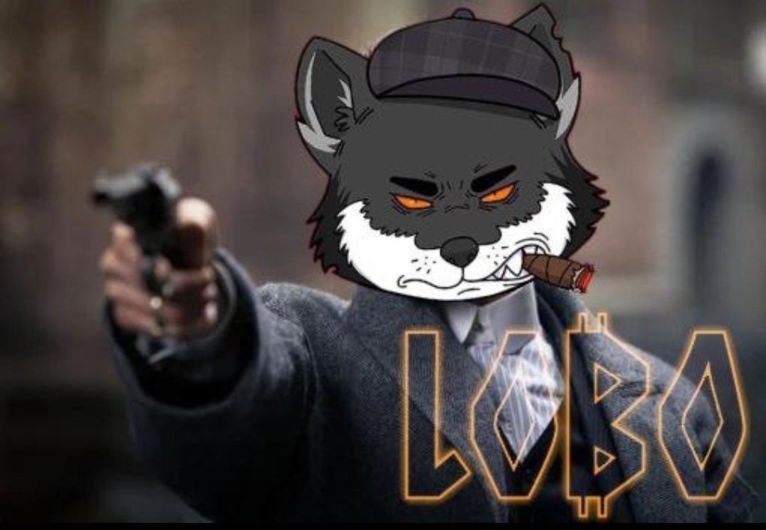 Bitcoin0046's tweet image. Crypto giveaways come and go — but LOBO is a full-on WAVE 🌊
Thanks to @lobothewolfpup @_BuoyantCapital @krakenfx @KakulkanCrypto
This one is for the real wolves 🐺
#LoboWave #CryptoHustle