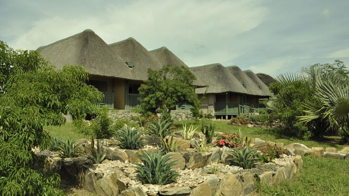 MrDelivery78976's tweet image. Thanks Tilenga Safari Lodge for hosting me , indeed it has been a nice experience starting with the luxury cottages , traditional foods and the nice hospitality
#GoldenPosts