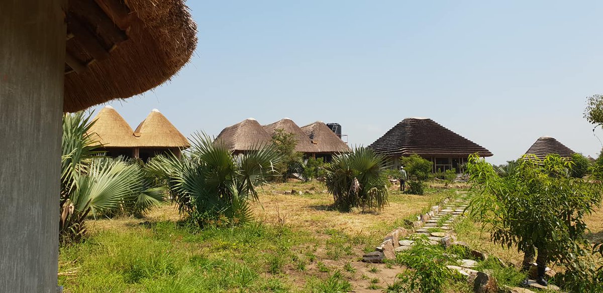 MrDelivery78976's tweet image. Thanks Tilenga Safari Lodge for hosting me , indeed it has been a nice experience starting with the luxury cottages , traditional foods and the nice hospitality
#GoldenPosts