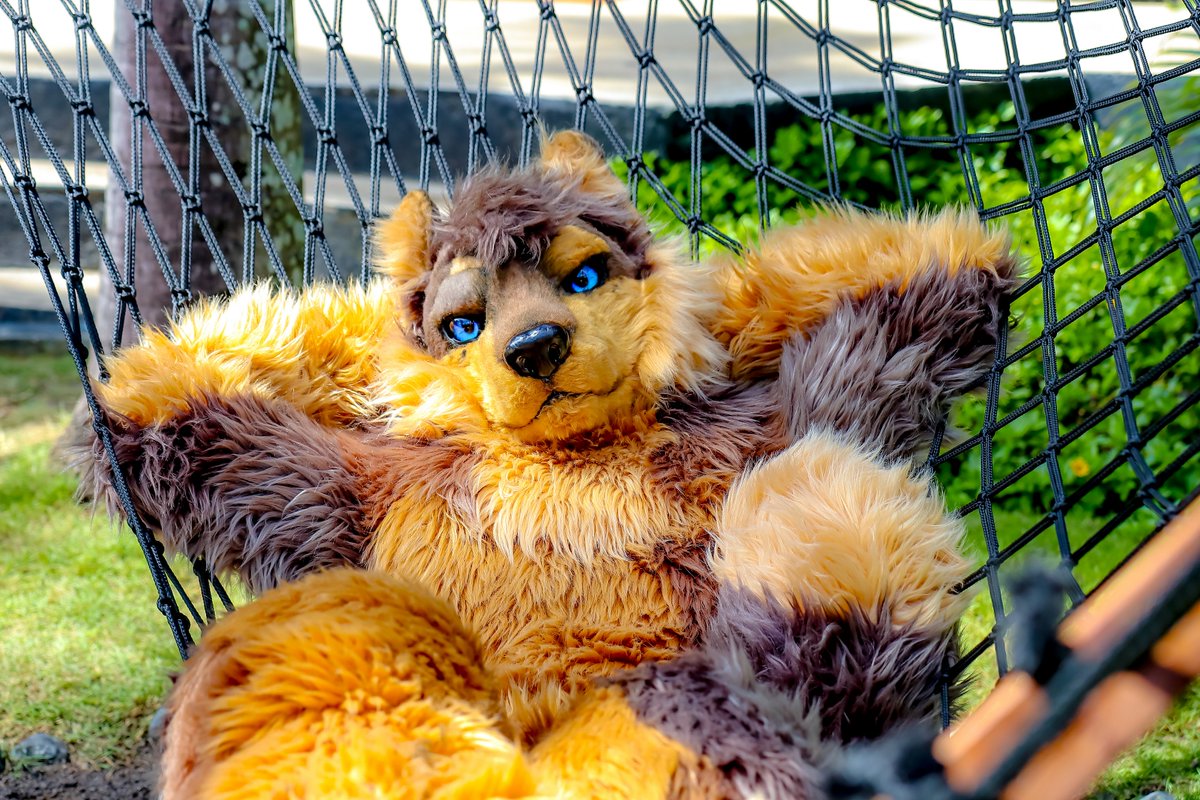 Lazy Afternoons~

#FursuitEveryday #Furry
