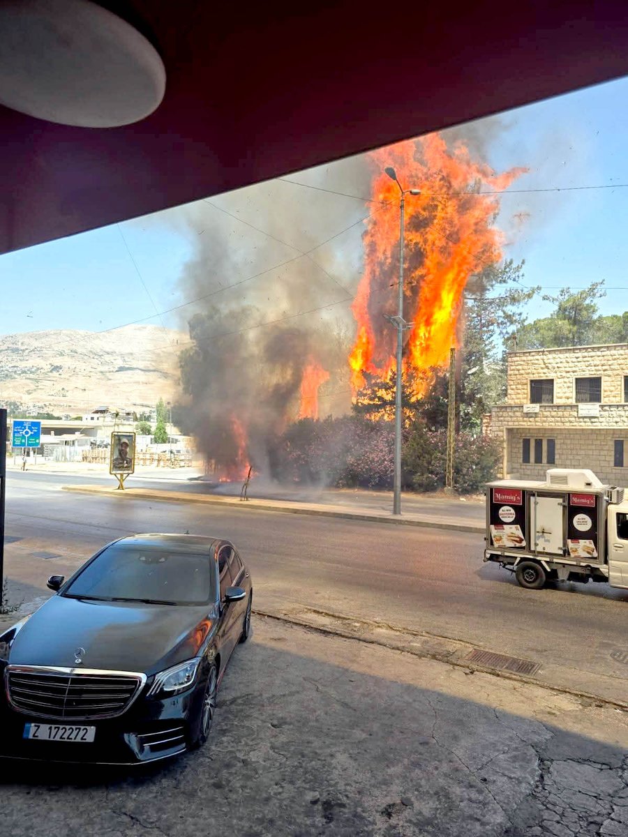 MoaLebanon's tweet image. حريق في مشتل شتورا... وزارة الزراعة تتحرّك والقضاء يباشر التحقيقات ويوقف المتورطين
#الزراعة_نبض_الأرض_والحياة
#وزارة_الزراعة
#وزير_الزراعة
صفحة وزارة الزراعة على فيسبوك:
facebook.com/MOALebanonOffi…