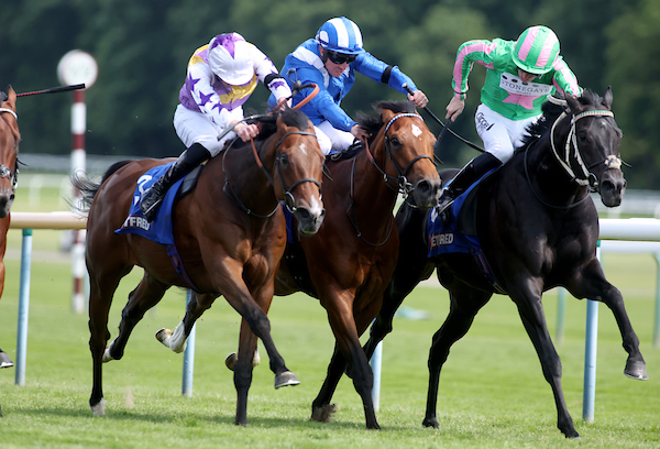 BETDAQ's tweet image. 📊 DAQSTATS highlights the best positive and negative Stats from racing on Sunday 👇
✅ POSITIVES:
Pontefract 1-55: Tom Marquand has an excellent 24% strike rate with his rides at Pontefract, Cloudbuster is 5.4.
Pontefract 2-55: Edward Bethell has a healthy 19% strike rate…