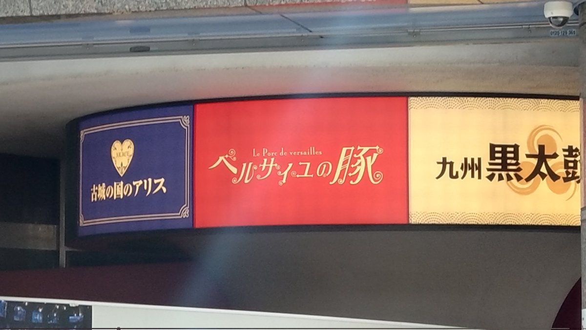 Asahi_kozu's tweet image. &amp;gt;&amp;gt;&amp;gt;ベルサイユの豚&amp;lt;&amp;lt;&amp;lt;