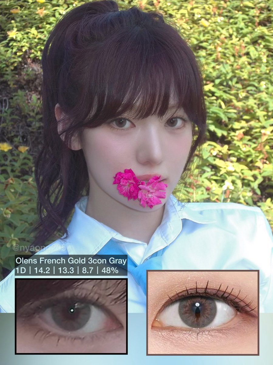 nyaong209's tweet image. ✨250726 수이 렌즈 정보
👀olens french gold 3con gray