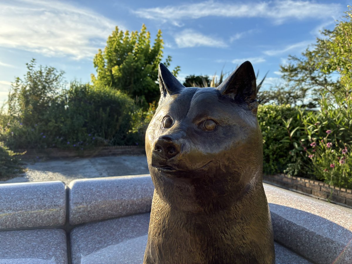 CaptMurasha's tweet image. 昨日はあの犬を見に行った