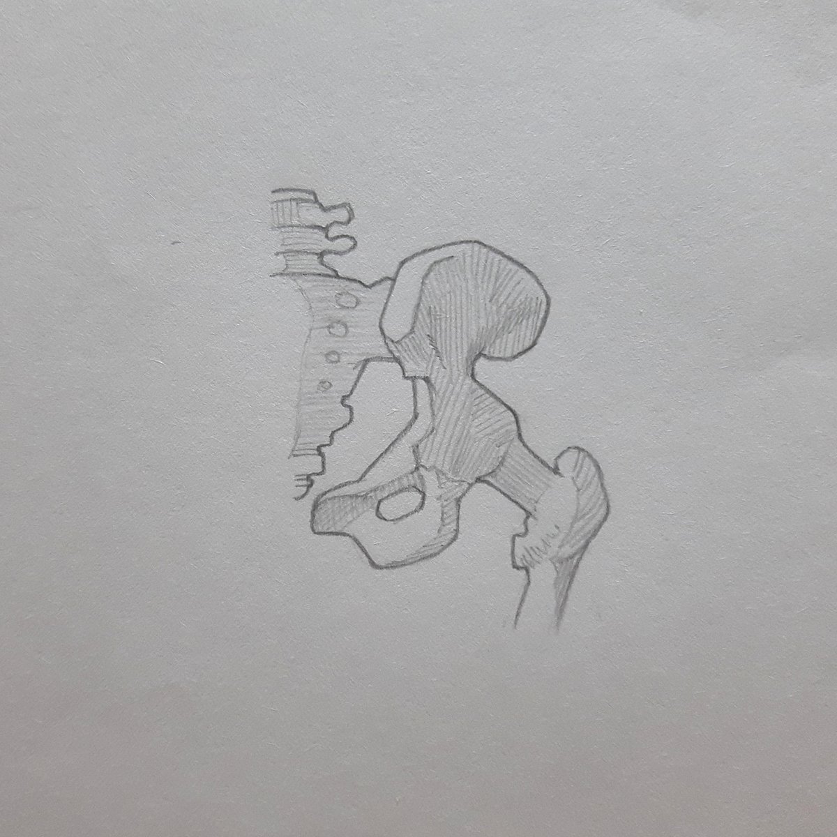 NATSUNOSOH's tweet image. 3年間で神絵師になります（330日目）

骨と筋肉の練習。