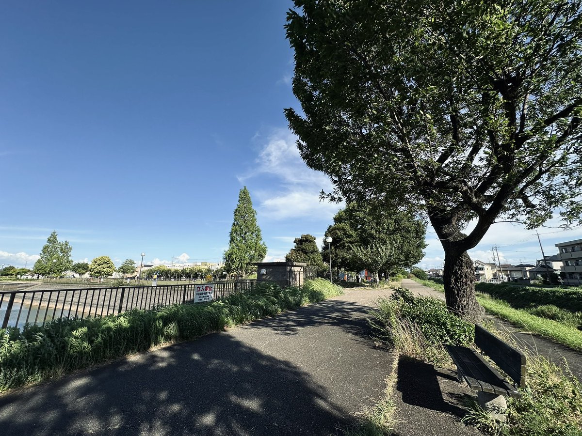 SakuSe3p's tweet image. 暑いねー

散歩兼お買い物