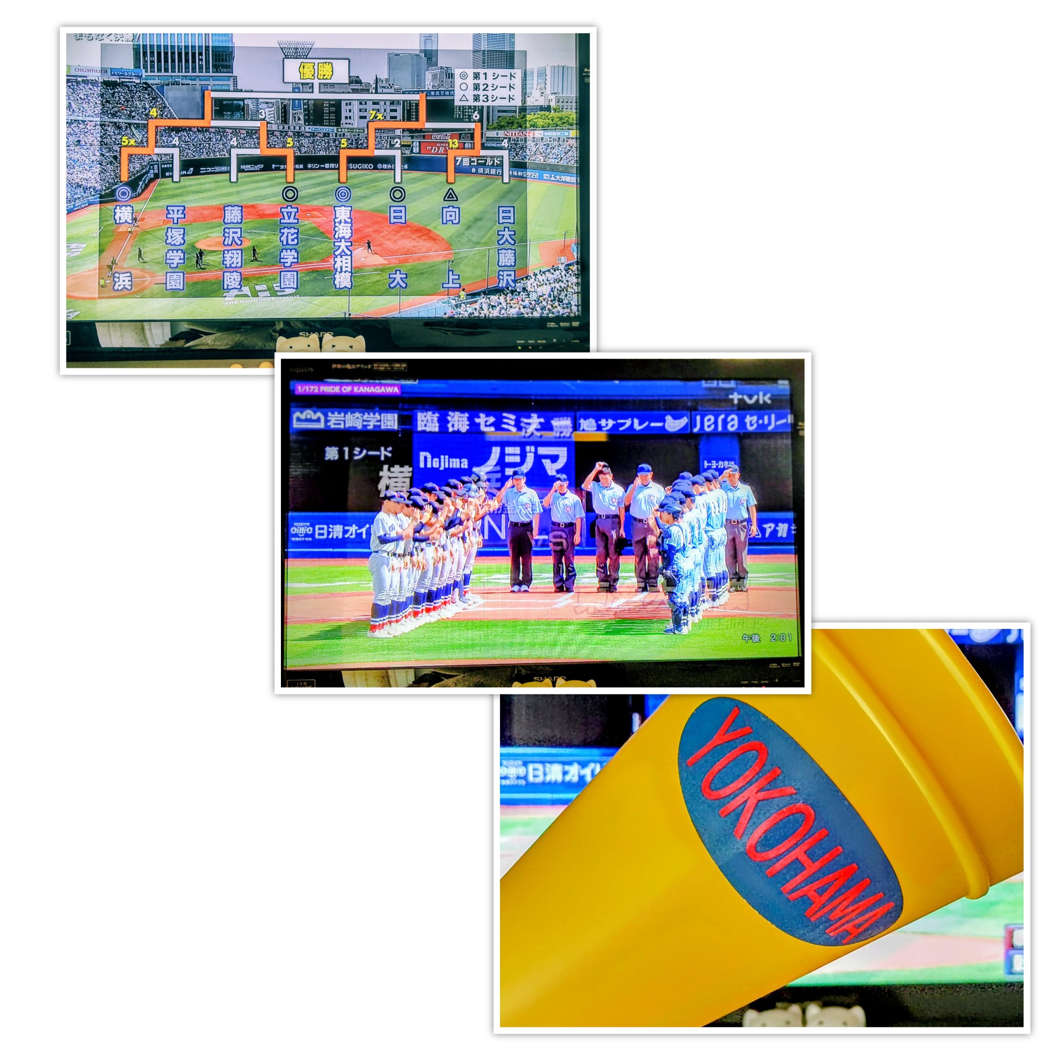 ❤️高校野球DVD❤️神奈川大会★全４枚セット★2011～2014年★新品同様 高校野球 神奈川グラフ1976 全国高校野球選手権神奈川大会の全