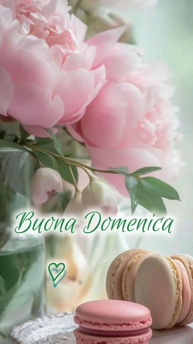 RITABIANCHi56 tweet media