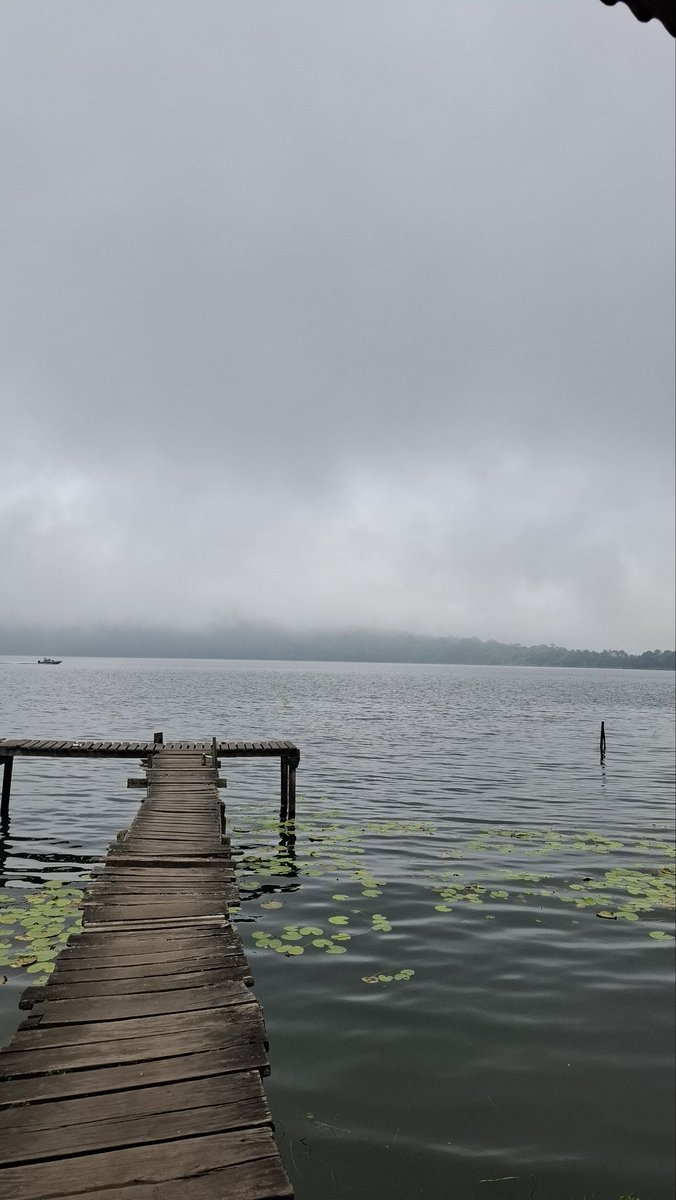 karl (@milkouat) on Twitter photo 