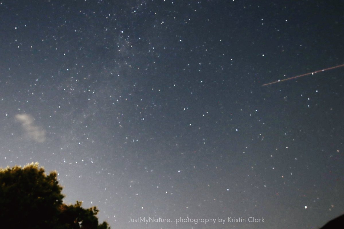 Possible Perseids meteors (low left in #1), Hampton Cove AL <a href="/spann/">James Spann</a> <a href="/DanielleDozier/">Danielle Dozier News 19</a> <a href="/BenSmith_WHNT/">Ben Smith</a> <a href="/CamutoWHNT/">Jessica Camuto</a> <a href="/JDESNOYERSWAFF/">Jeff Desnoyers WAFF 48</a> <a href="/WEATHERmanBURKE/">Eric Burke WAFF 48</a> @aarona_wx @anellowx @robelvington 
<a href="/JDressmanWX/">Jordan Dressman</a> <a href="/EmilyOwenWX/">Emily Owen</a> <a href="/AmberKulick_wx/">Amber Kulick ⛈️</a> <a href="/laabsTWC/">Tom Laabs</a> <a href="/NWSHuntsville/">NWS Huntsville</a> @simpsonwvtm13 #valleywx