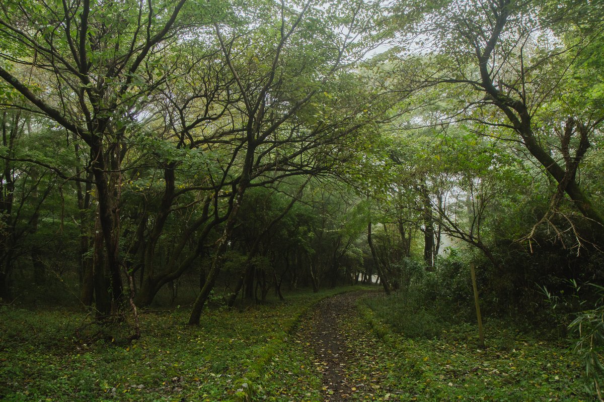 Hakone, Japan