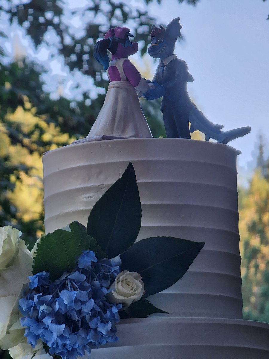 CassMutt's tweet image. BEST DAY OF MY LIFE
All the stress and planning and anxiety was all worth it for this moment
I will never forget this. Ever. And I can't thank everyone enough for coming to celebrate us π©·