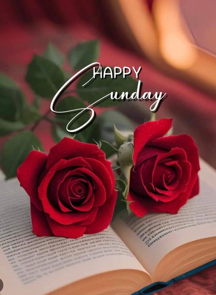 Binodku20593600's tweet image. My tweeter friend 👍🎋🌽🌽💘🌹🎉🎉💓👌👋❤🌾🌾🍎🍎😘🥦💞🌷🍎🌾🍎❤🌾🍎🍎🌽🎋👍