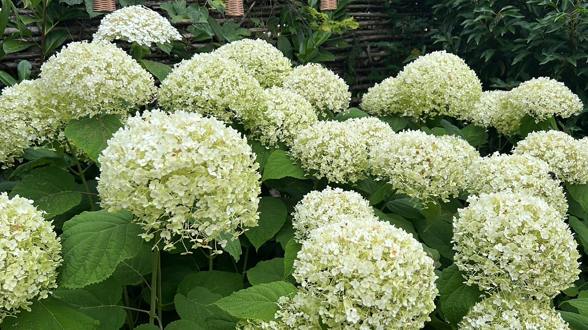 Mijn uitzicht tijdens ☕️ moment #weekend