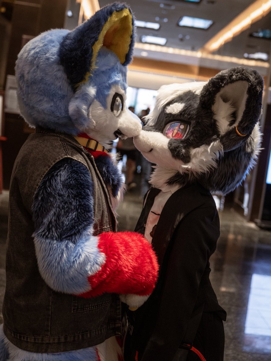 LinGu615913's tweet image. 🥺👉🍌👈❓

🦊@RA_FAIER 
📷@Halikoss