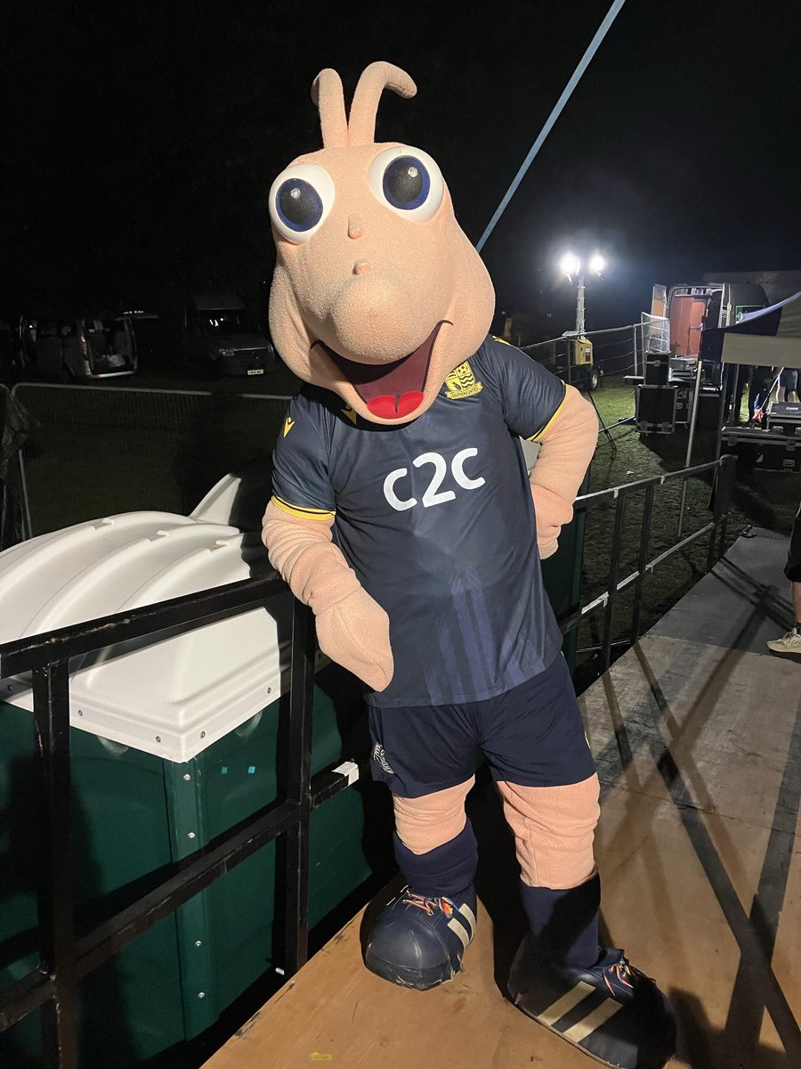 shrimp_sammy's tweet image. Morning shrimpers last night I was invited on stage at lazy days festival by pete doherty to perform with him on his healing set. Absolutely buzzing, did you see me? I had a great day yesterday meeting so many people.
Sammy back stage, festival life, buzzing.