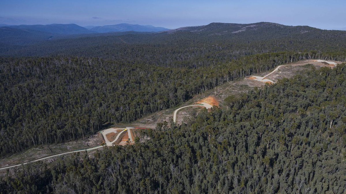 <a href="/MurrayWatt/">Senator Murray Watt</a> Or just clear a swathe for wind turbines and new HV powerlines.