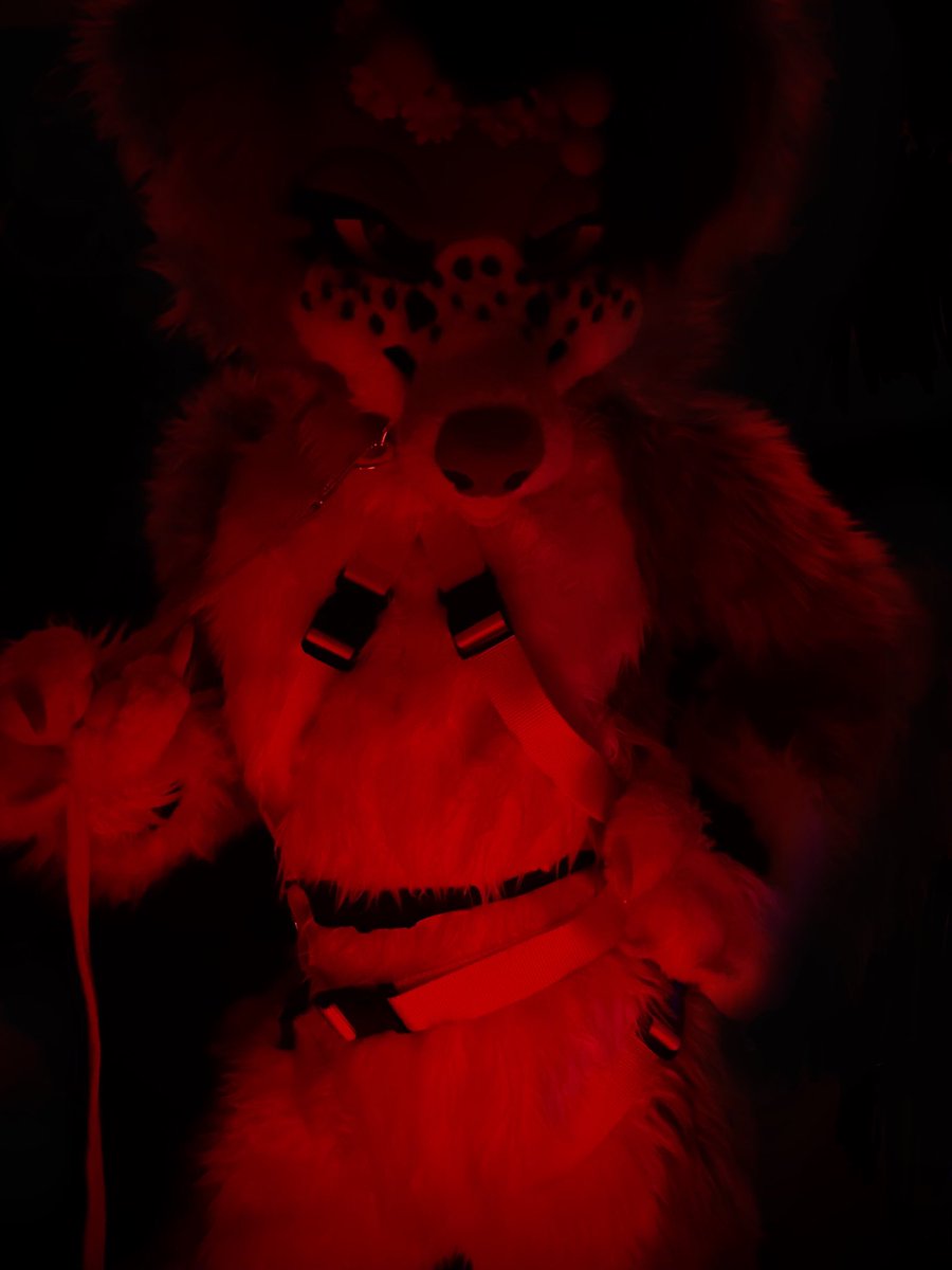 Bark