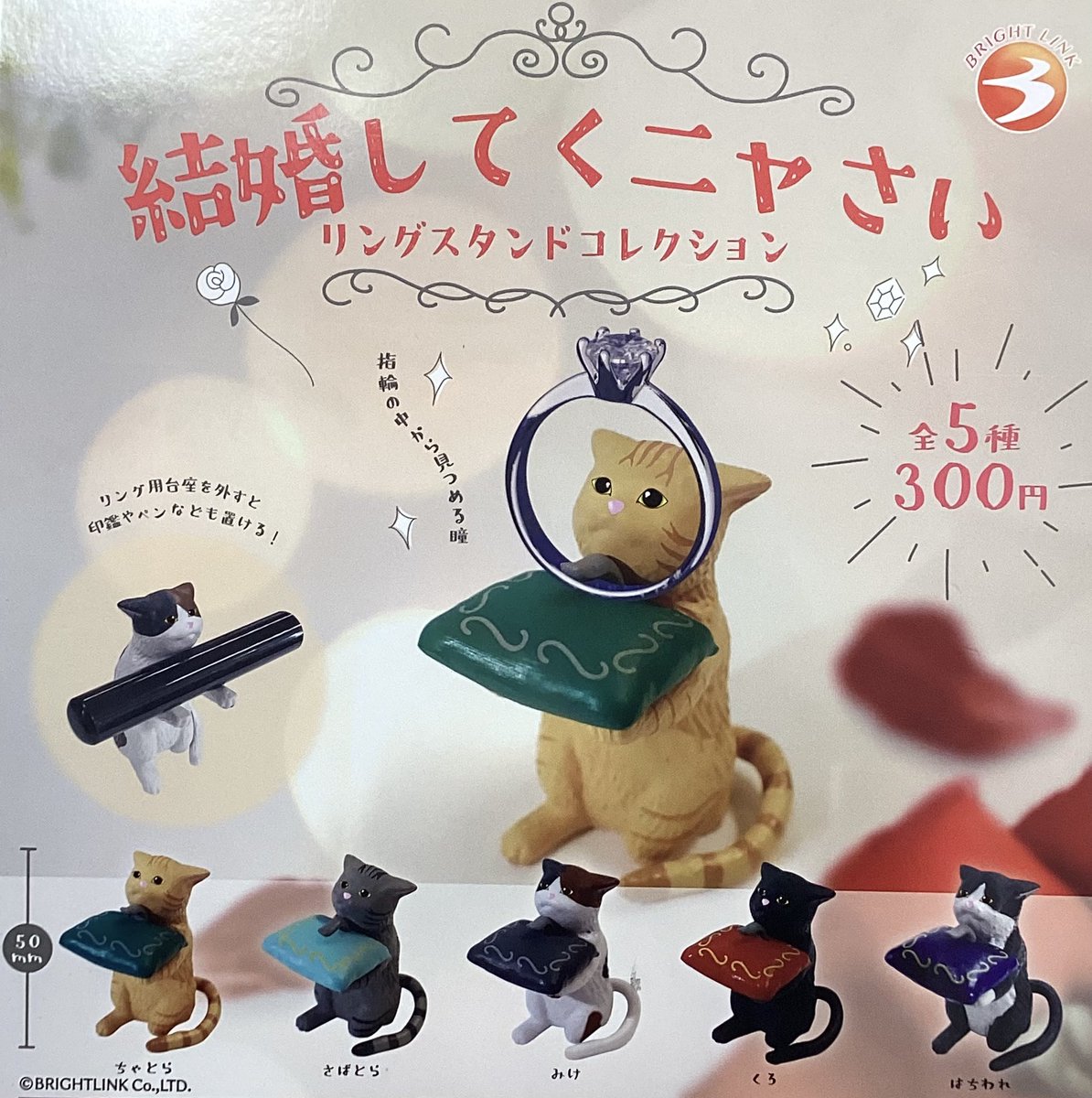 drecap_ueno's tweet image. 🐼7月27日(日)完売情報🐼
❌NATURE TECHNI COLOUR 古生物
❌結婚してくニャさい リングスタンドコレクション
❌おきがえポンチョ めんそ〜れ
こちらの商品はご好評につき完売しました🎊
ありがとうございました🎪✨
#ドリームカプセル🪩💫 #上野マルイ 🐼🌱